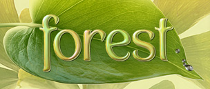 Nature font - Earth Day font - Forest font by David Occhino Design